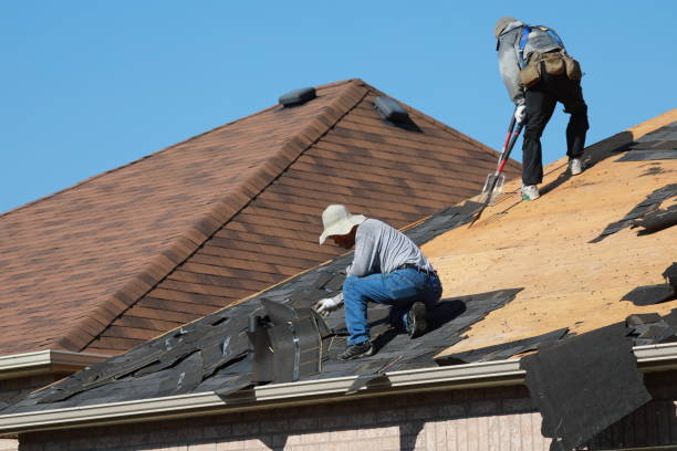 Best Wood Shake Roofing  in Lavalette, WV