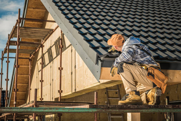 Best Sheet Metal Roofing  in Lavalette, WV