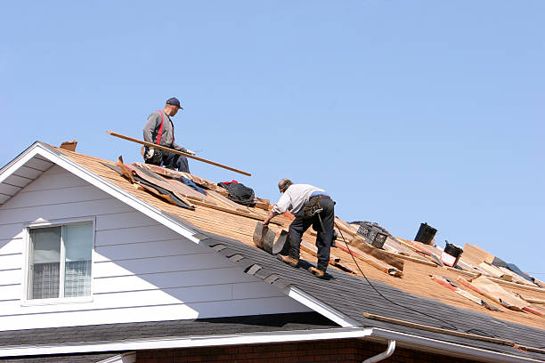 Best Roof Installation  in Lavalette, WV