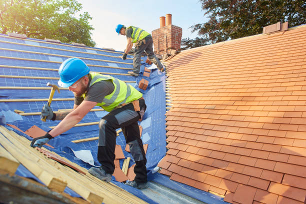 Best Green or Eco-Friendly Roofing Solutions  in Lavalette, WV
